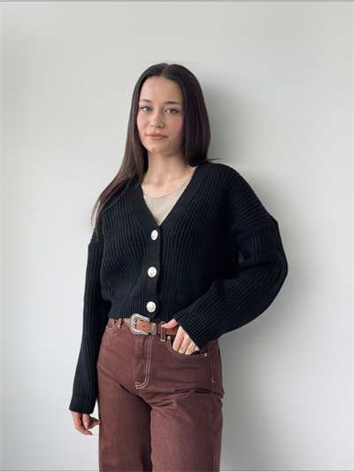 Retrobird Gümüş Düğmeli Siyah Crop Hırka