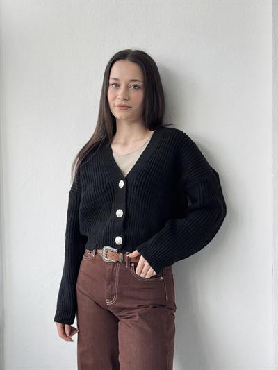 Retrobird Gümüş Düğmeli Siyah Crop Hırka