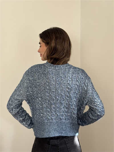 Retrobird Dark Blue Light Shiny Knit Sweater