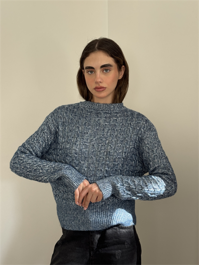 Retrobird Dark Blue Light Shiny Knit Sweater