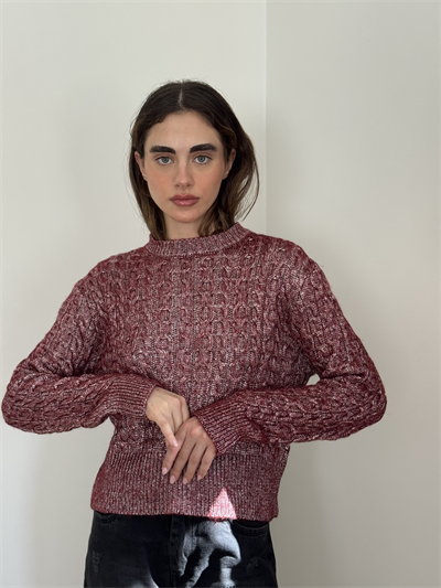 Retrobird Burgundy Light Shiny Knit Sweater
