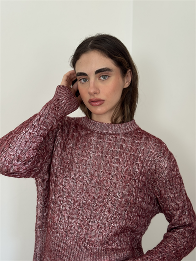 Retrobird Burgundy Light Shiny Knit Sweater