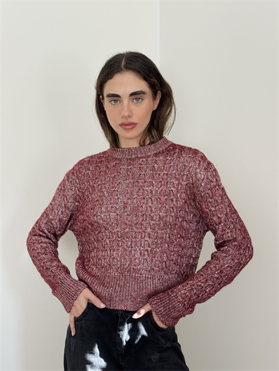Retrobird Burgundy Light Shiny Knit Sweater