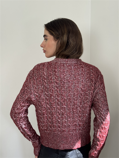 Retrobird Burgundy Light Shiny Knit Sweater