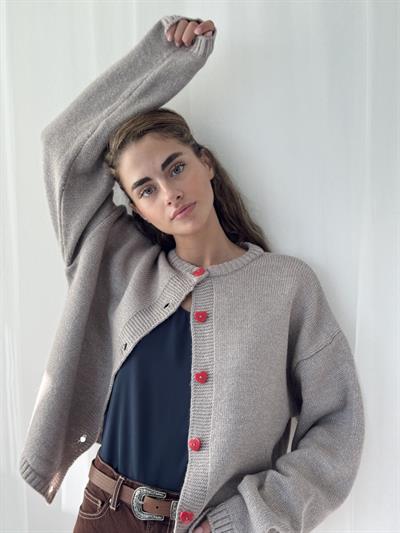 Retrobird Kalp Düğmeli Gri Simli Hırka