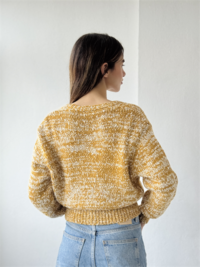 Retrobird Mustard Short Cardigan