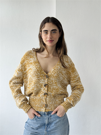 Retrobird Mustard Short Cardigan