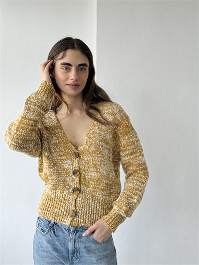 Retrobird Mustard Short Cardigan