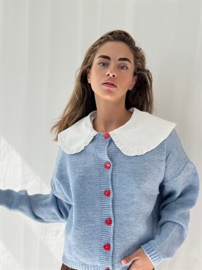 Retrobird Kısa Kalp Düğmeli Mavi Hırka