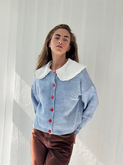 Retrobird Kısa Kalp Düğmeli Mavi Hırka