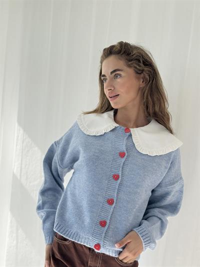 Retrobird Kısa Kalp Düğmeli Mavi Hırka