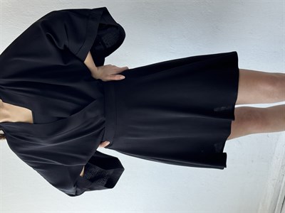 Retrobird Black Flared Short Skirt