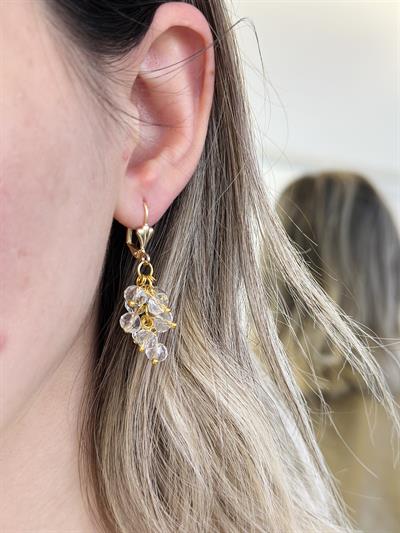 Retrobird Crystal Stone Grape Cluster Gold Color Earrings