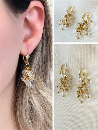 Retrobird Crystal Stone Grape Cluster Gold Color Earrings