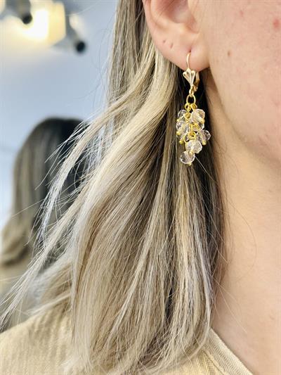 Retrobird Crystal Stone Grape Cluster Gold Color Earrings