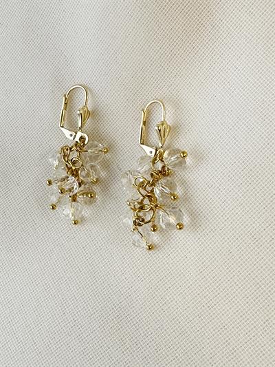 Retrobird Crystal Stone Grape Cluster Gold Color Earrings