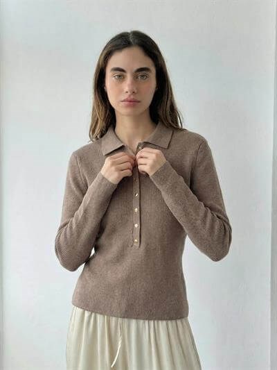 Retrobird Lycra Thin Polo Collar Mink Basic Sweater