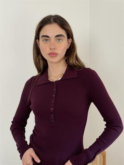Retrobird Lycra Thin Premium Wine Red Polo Collar Basic Sweater