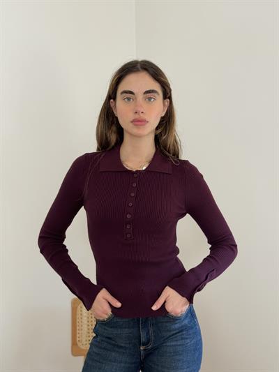 Retrobird Lycra Thin Premium Wine Red Polo Collar Basic Sweater