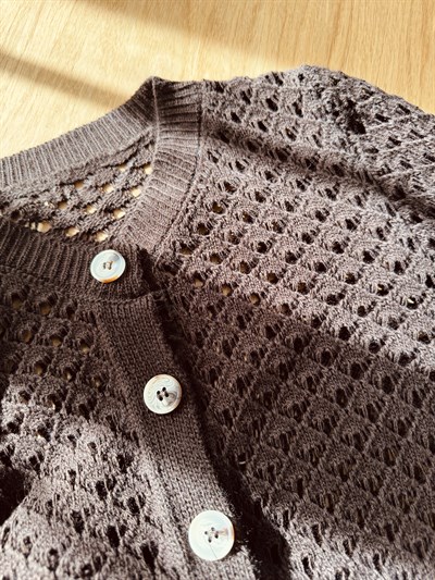 Retrobird Lou Retro Openwork Brown Short Cardigan