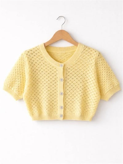 Retrobird Lou Retro Ajurlu Sarı Kısa Hırka