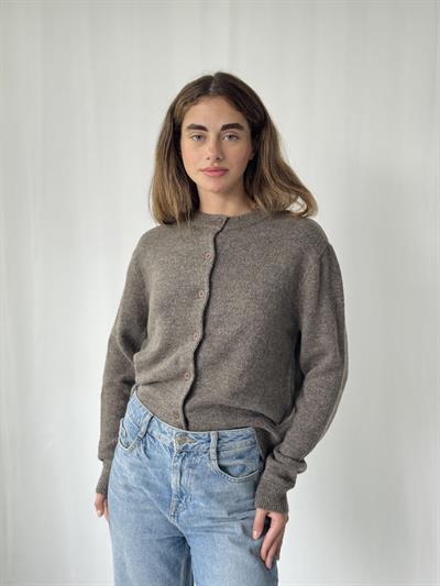 Retrobird Önden Düğmeli Vizon Basic Hırka