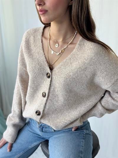 Retrobird Önden Düğmeli Basic Kum Şardonlu Hırka