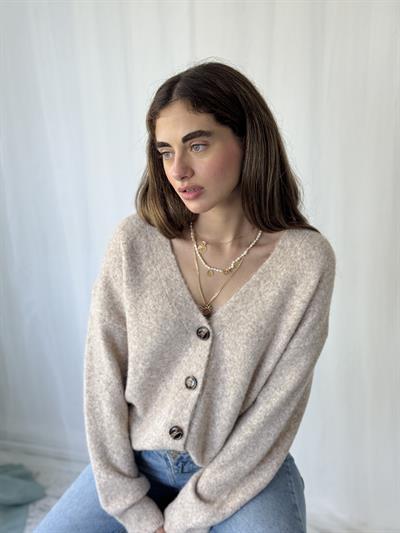 Retrobird Önden Düğmeli Basic Kum Şardonlu Hırka