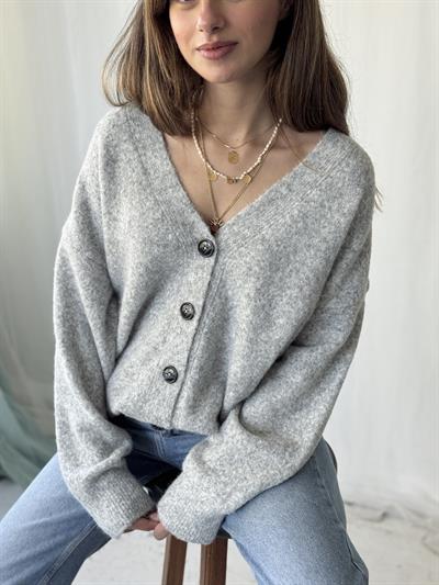 Retrobird Önden Düğmeli Basic Açık Gri Şardonlu Hırka