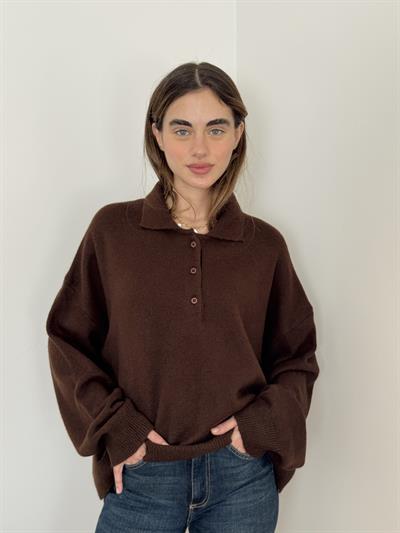Retrobird Brown Polo Collar Basic Sweater