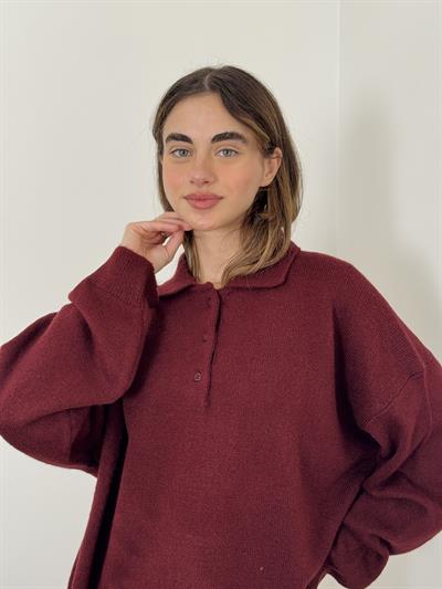 Retrobird Claret Red Polo Neck Basic Sweater