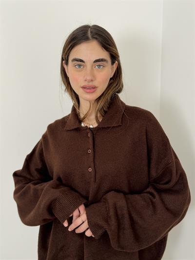 Retrobird Brown Polo Collar Basic Sweater