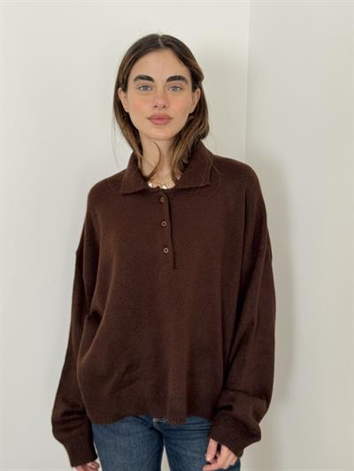 Retrobird Brown Polo Collar Basic Sweater