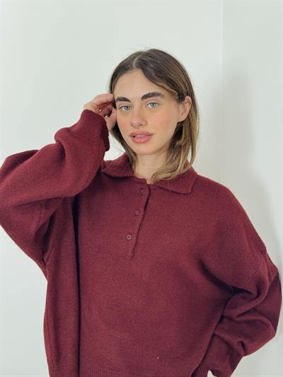 Retrobird Claret Red Polo Neck Basic Sweater