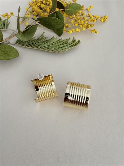 Retrobird Design Gold Color Retro Model Earrings