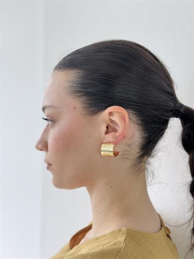 Retrobird Design Gold Color Retro Model Earrings