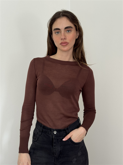 Retrobird Brown Transparent Fit Knit Sweater