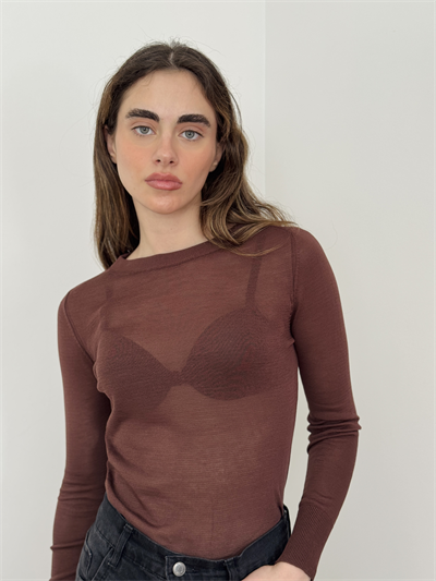 Retrobird Brown Transparent Fit Knit Sweater