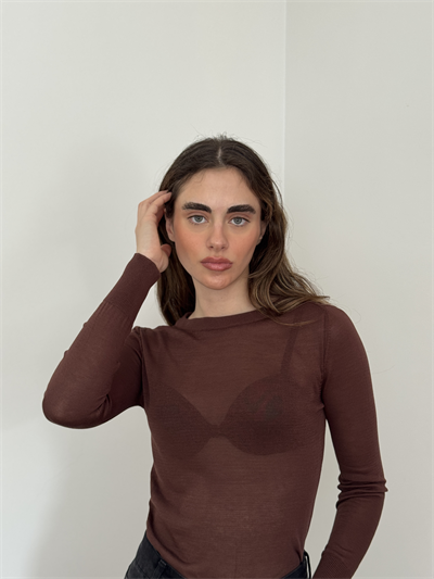 Retrobird Brown Transparent Fit Knit Sweater