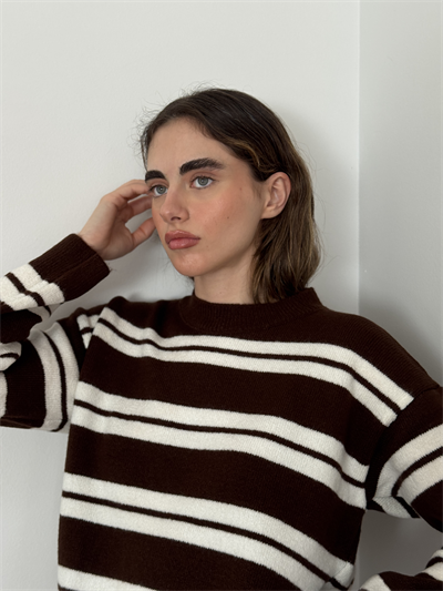 Retrobird Striped Brown Knit Sweater
