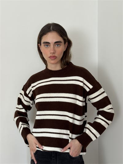 Retrobird Striped Brown Knit Sweater