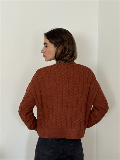 Retrobird Embossed Patterned Terracotta Knit Sweater