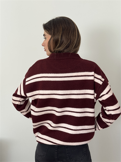 Retrobird Striped Burgundy Knit Sweater