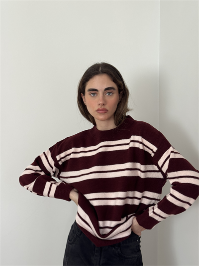 Retrobird Striped Burgundy Knit Sweater