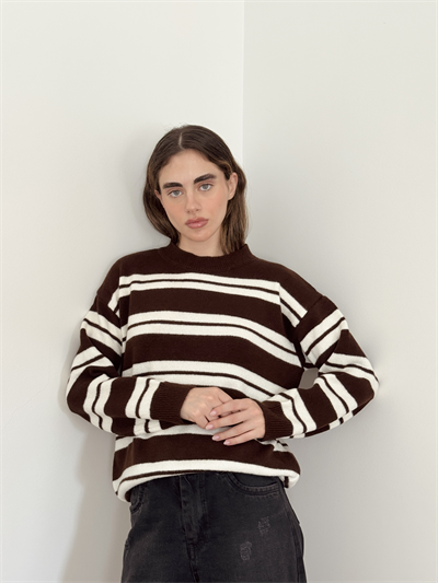Retrobird Striped Brown Knit Sweater