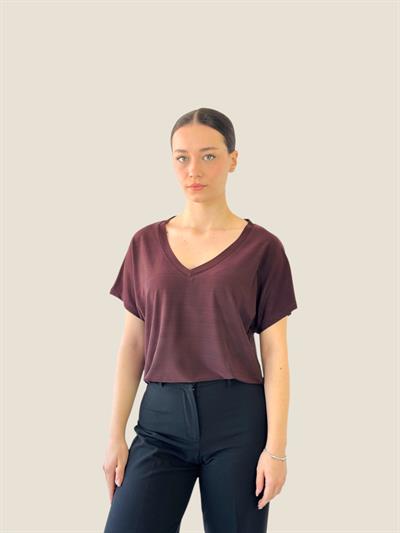 Retrobird V-Neck Loose Brown T-Shirt Top