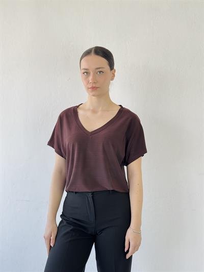 Retrobird V-Neck Loose Brown T-Shirt Top