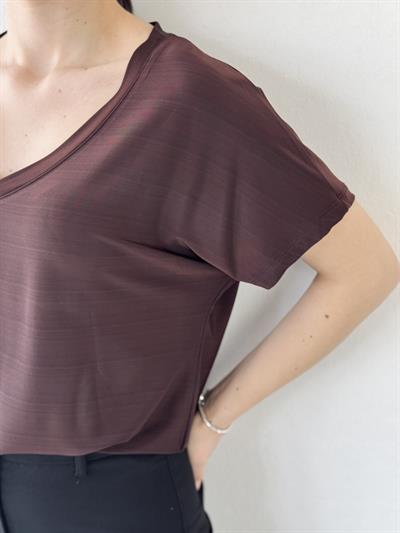 Retrobird V-Neck Loose Brown T-Shirt Top
