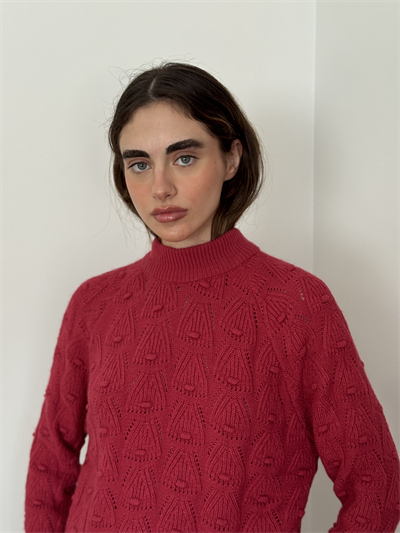 Retrobird Fuchsia Vintage Knitted Knitwear Sweater