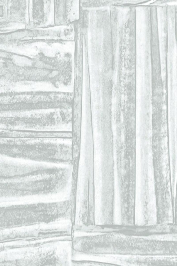 MUSE WALLPAPER (PAGE: 3) - 16.5 m2